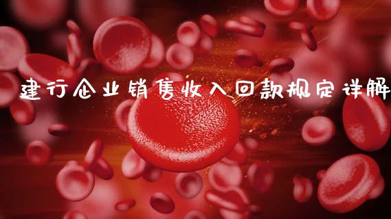 建行企业销售收入回款规定详解_https://www.qmgjg.com_香港恒生指数_第1张