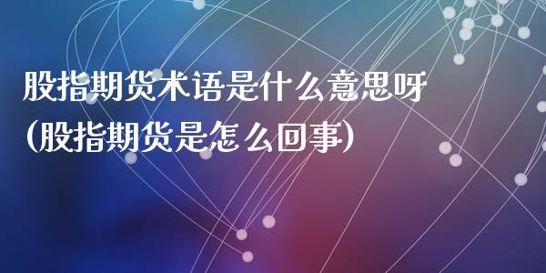 股指期货术语是什么意思呀(股指期货是怎么回事)_https://www.qmgjg.com_港股恒生指数_第1张