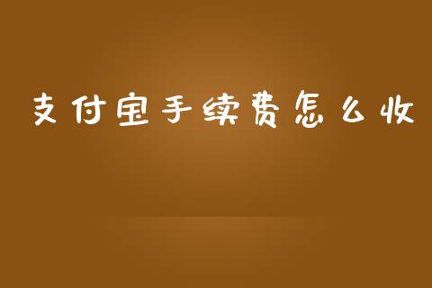 支付宝手续费怎么收_https://www.qmgjg.com_香港恒生指数_第1张
