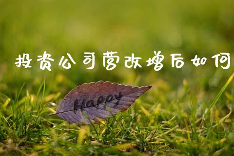 投资公司营改增后如何_https://www.qmgjg.com_香港恒生指数_第1张