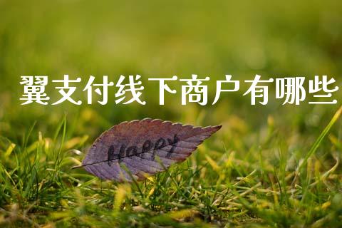 翼支付线下商户有哪些_https://www.qmgjg.com_港股恒生指数_第1张