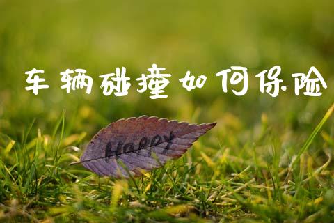 车辆碰撞如何保险_https://www.qmgjg.com_恒生指数期货_第1张