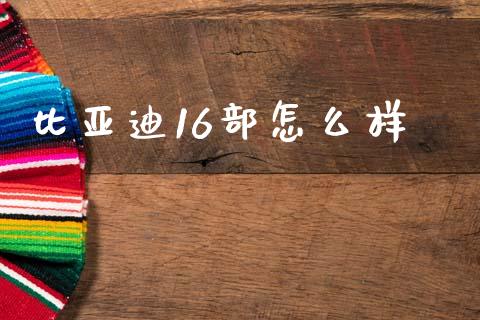 比亚迪16部怎么样_https://www.qmgjg.com_港股恒生指数_第1张