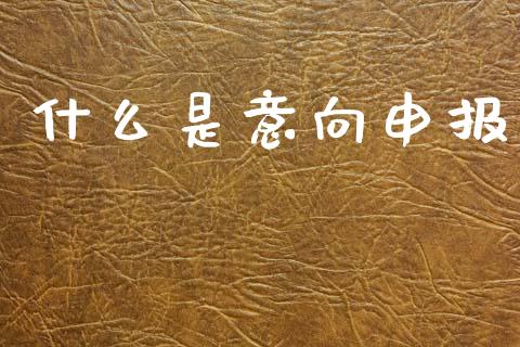 什么是意向申报_https://www.qmgjg.com_恒生指数期货_第1张