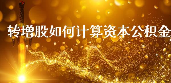 转增股如何计算资本公积金_https://www.qmgjg.com_恒生指数期货_第1张