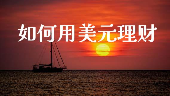 如何用美元理财_https://www.qmgjg.com_香港恒生指数_第1张