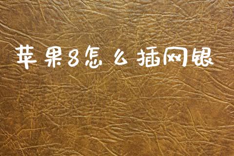 苹果8怎么插网银_https://www.qmgjg.com_恒生指数期货_第1张