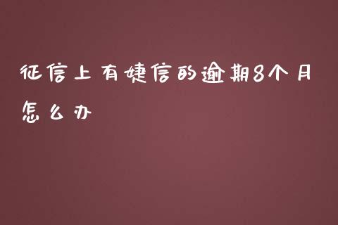 征信上有婕信的逾期8个月怎么办_https://www.qmgjg.com_恒生指数期货_第1张