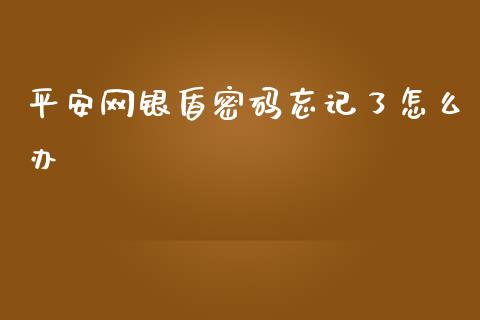 平安网银盾密码忘记了怎么办_https://www.qmgjg.com_恒生指数是什么_第1张