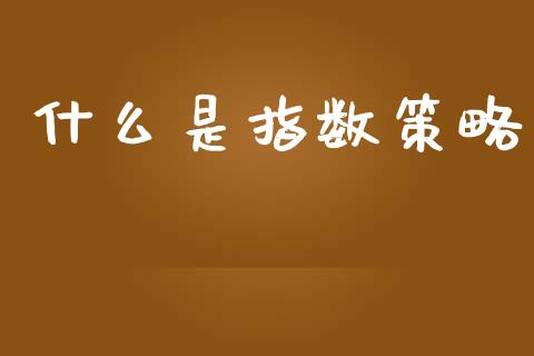 什么是指数策略_https://www.qmgjg.com_恒生指数期货_第1张
