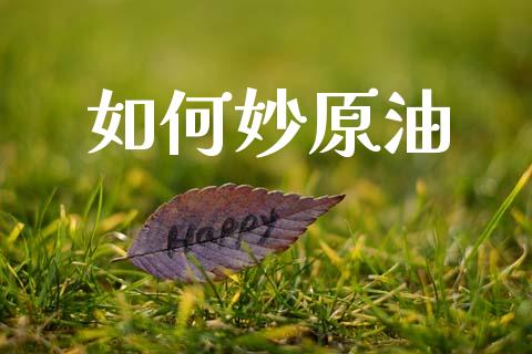 如何妙原油_https://www.qmgjg.com_恒生指数期货_第1张