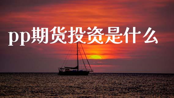 pp期货投资是什么_https://www.qmgjg.com_恒生指数期货_第1张