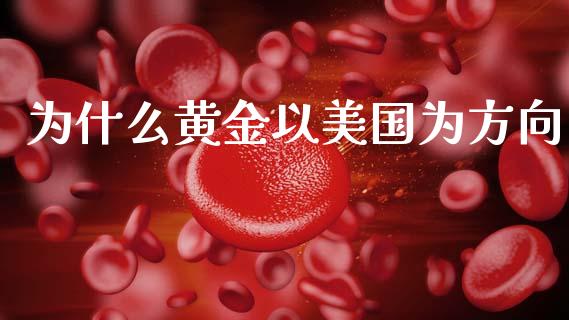 为什么黄金以美国为方向_https://www.qmgjg.com_香港恒生指数_第1张