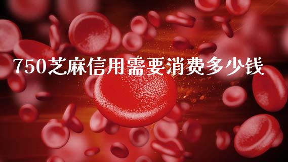 750芝麻信用需要消费多少钱_https://www.qmgjg.com_港股恒生指数_第1张