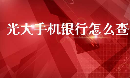 光大手机银行怎么查_https://www.qmgjg.com_恒生指数是什么_第1张