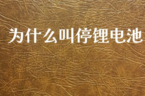 为什么叫停锂电池_https://www.qmgjg.com_恒生指数是什么_第1张