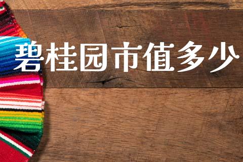 碧桂园市值多少_https://www.qmgjg.com_恒生指数是什么_第1张