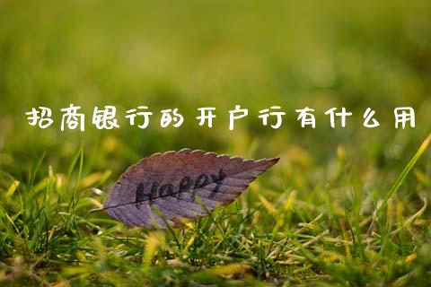 招商银行的开户行有什么用_https://www.qmgjg.com_恒生指数期货_第1张