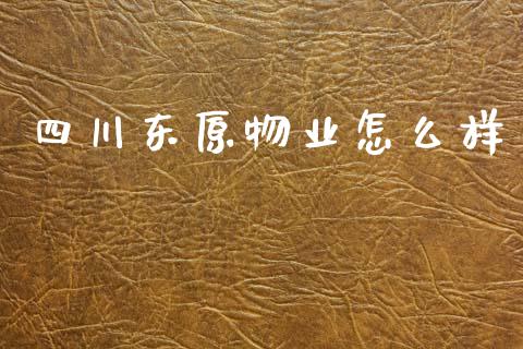 四川东原物业怎么样_https://www.qmgjg.com_恒生指数期货_第1张