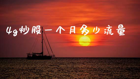 4g炒股一个月多少流量_https://www.qmgjg.com_恒生指数期货_第1张