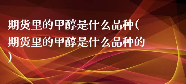 期货里的甲醇是什么品种(期货里的甲醇是什么品种的)_https://www.qmgjg.com_香港恒生指数_第1张