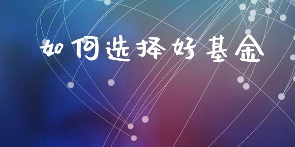 如何选择好基金_https://www.qmgjg.com_恒生指数是什么_第1张