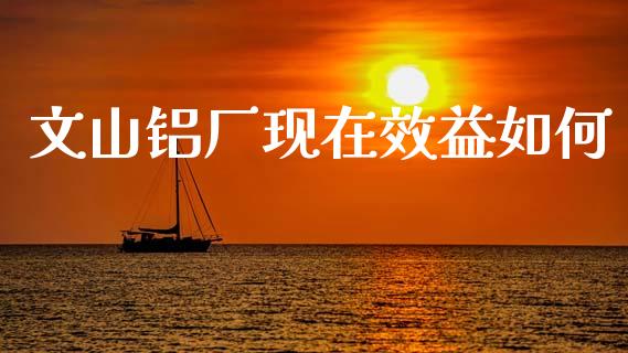 文山铝厂现在效益如何_https://www.qmgjg.com_香港恒生指数_第1张