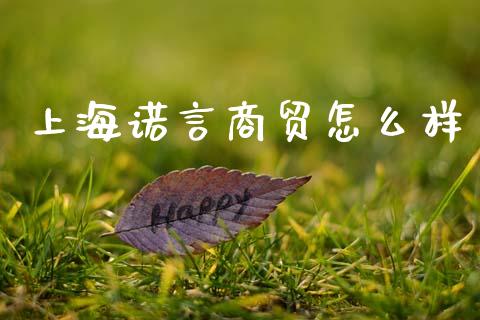 上海诺言商贸怎么样_https://www.qmgjg.com_香港恒生指数_第1张