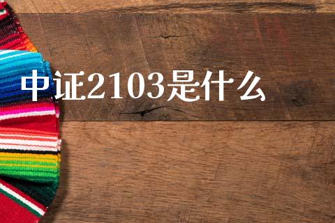 中证2103是什么_https://www.qmgjg.com_港股恒生指数_第1张