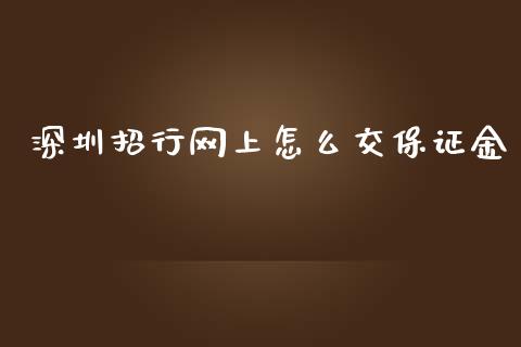 深圳招行网上怎么交保证金_https://www.qmgjg.com_港股恒生指数_第1张
