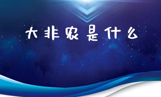 大非农是什么_https://www.qmgjg.com_恒生指数是什么_第1张