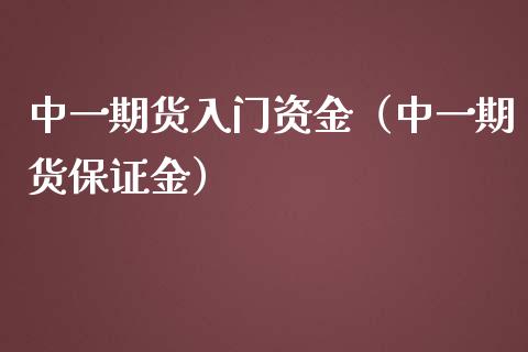 中一期货入门资金（中一期货保证金）_https://www.qmgjg.com_港股恒生指数_第1张