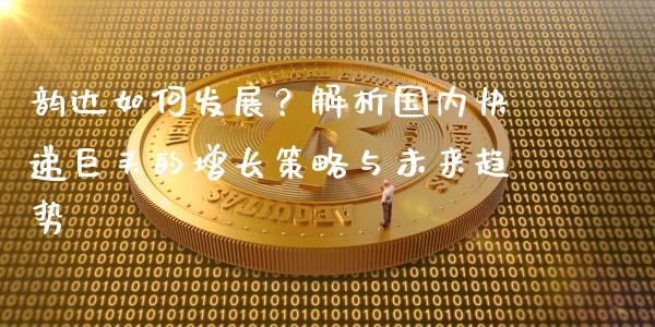 韵达如何发展？解析国内快递巨头的增长策略与未来趋势_https://www.qmgjg.com_恒生指数是什么_第1张