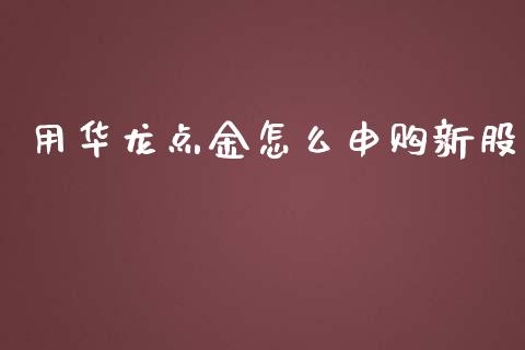 用华龙点金怎么申购新股_https://www.qmgjg.com_港股恒生指数_第1张