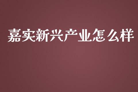嘉实新兴产业怎么样_https://www.qmgjg.com_恒生指数期货_第1张