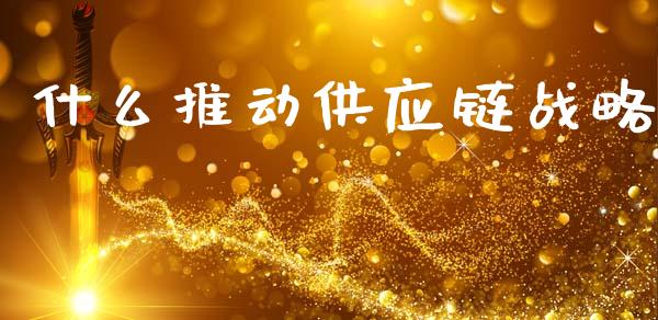 什么推动供应链战略_https://www.qmgjg.com_港股恒生指数_第1张