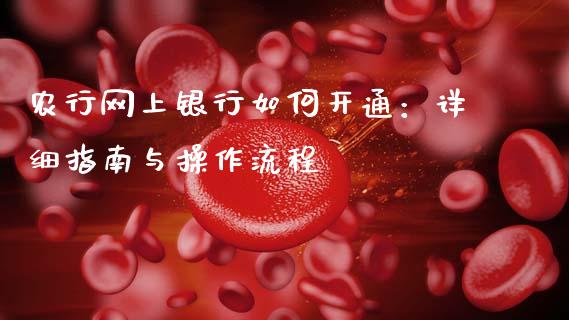农行网上银行如何开通：详细指南与操作流程_https://www.qmgjg.com_港股恒生指数_第1张