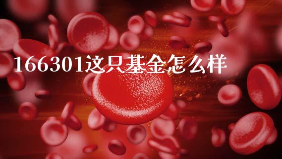 166301这只基金怎么样_https://www.qmgjg.com_香港恒生指数_第1张
