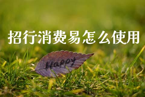 招行消费易怎么使用_https://www.qmgjg.com_恒生指数是什么_第1张