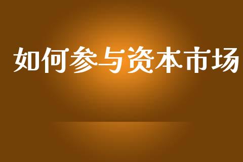 如何参与资本市场_https://www.qmgjg.com_恒生指数期货_第1张
