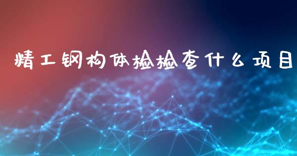 精工钢构体检检查什么项目_https://www.qmgjg.com_恒生指数是什么_第1张