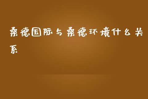 桑德国际与桑德环境什么关系_https://www.qmgjg.com_香港恒生指数_第1张
