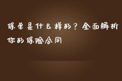 保单是什么样的？全面解析你的保险合同_https://www.qmgjg.com_恒生指数是什么_第1张
