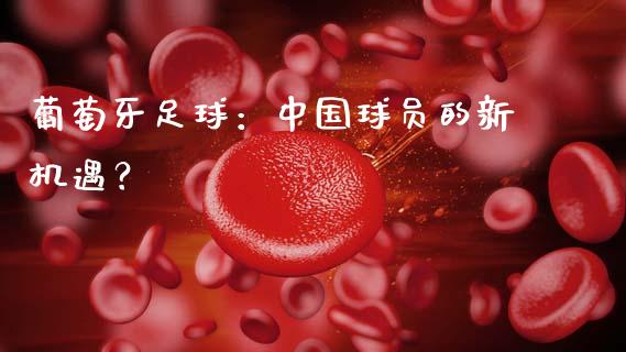 葡萄牙足球：中国球员的新机遇？_https://www.qmgjg.com_恒生指数是什么_第1张