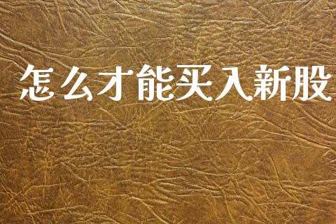 怎么才能买入新股_https://www.qmgjg.com_恒生指数期货_第1张