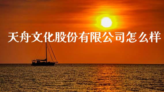 天舟文化股份有限公司怎么样_https://www.qmgjg.com_恒生指数期货_第1张