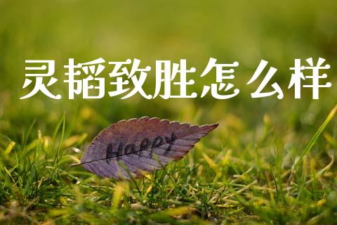 灵韬致胜怎么样_https://www.qmgjg.com_恒生指数期货_第1张