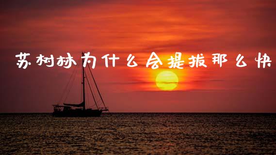 苏树林为什么会提拔那么快_https://www.qmgjg.com_香港恒生指数_第1张