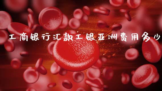 工商银行汇款工银亚洲费用多少_https://www.qmgjg.com_恒生指数期货_第1张