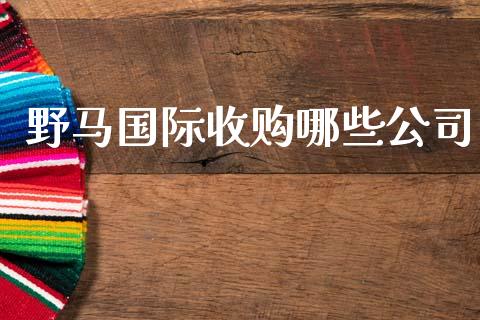 野马国际收购哪些公司_https://www.qmgjg.com_恒生指数期货_第1张